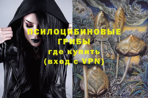 эйфоретик Алзамай