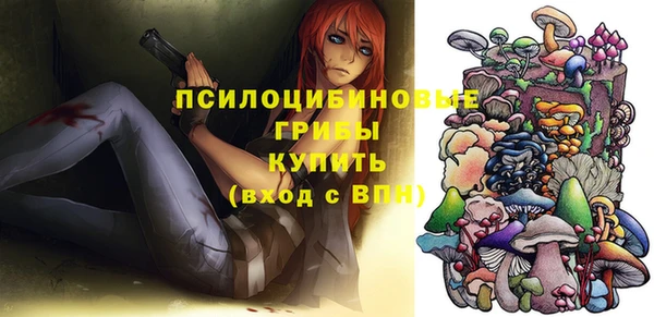 эйфоретик Алзамай