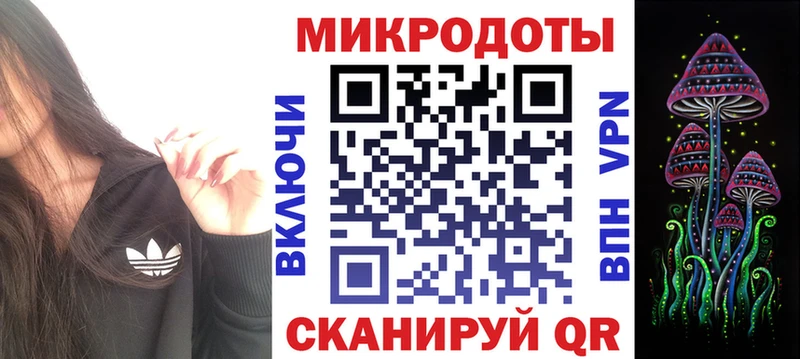 Галлюциногенные грибы прущие грибы  Юрьев-Польский 